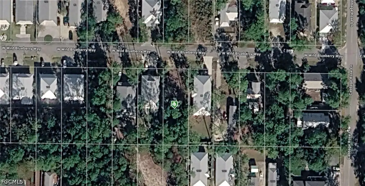 W Wild Blueberry Way, Santa Rosa Beach, FL 32459 - #1