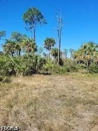 601 Union Avenue, Clewiston, FL 33440 - #2