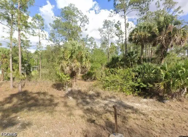 812 Sheldon Avenue, Lehigh Acres, FL 33936 - #1