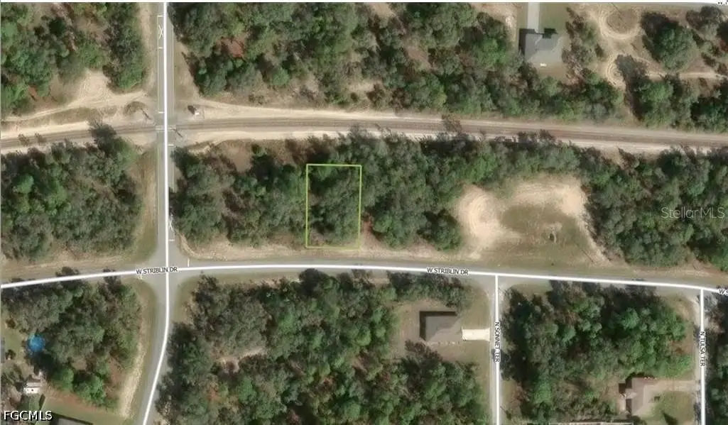 2659 W Stribling Drive, Citrus Springs, FL 34433 - #1