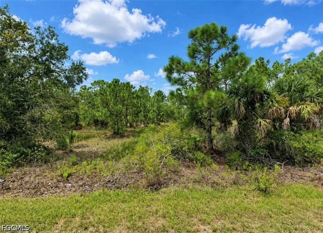 27349 Mandalay Drive, Punta Gorda, FL 33955 - #1