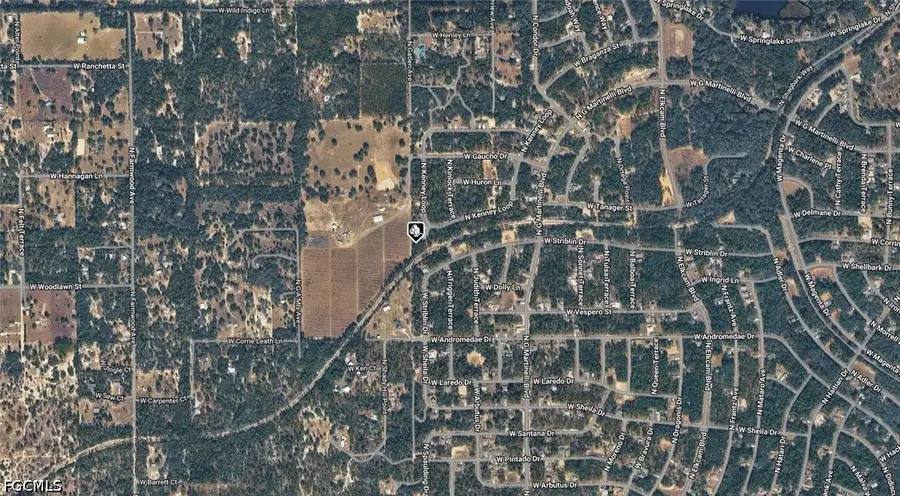 11236 N Ely Point, Citrus Springs, FL 34433 - #3
