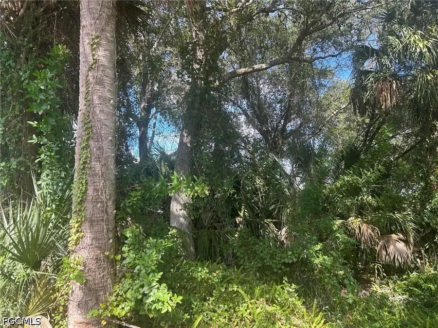 15181 Cemetery Road, Fort Myers, FL 33905 - #2