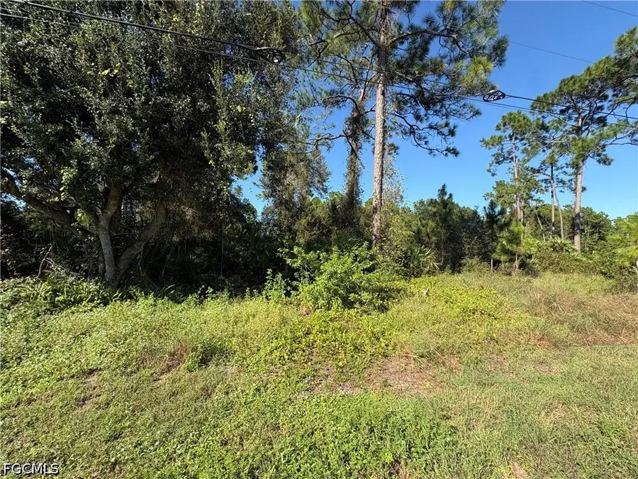 839 Cadis Street E, Lehigh Acres, FL 33974 - #3