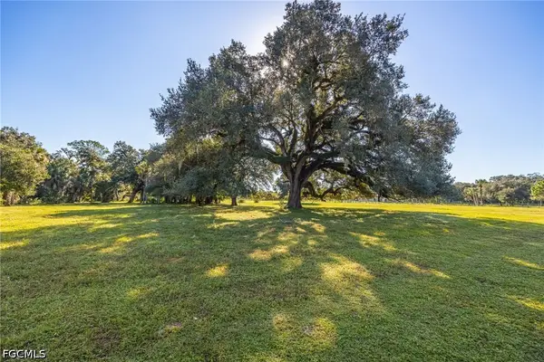 3251 Bateman Road, Alva, FL 33920