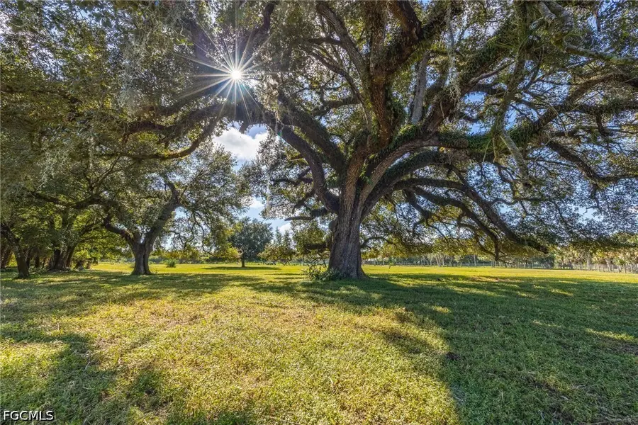 3251 Bateman Road, Alva, FL 33920 - #2