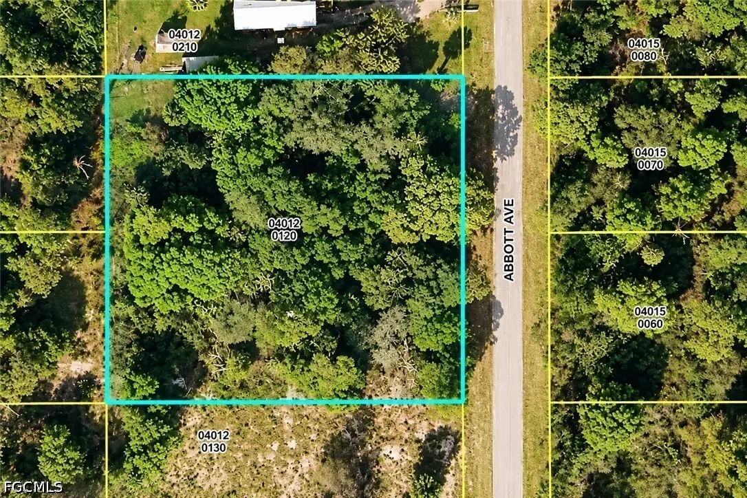 913 Abbott Avenue, Lehigh Acres, FL 33972 - #1