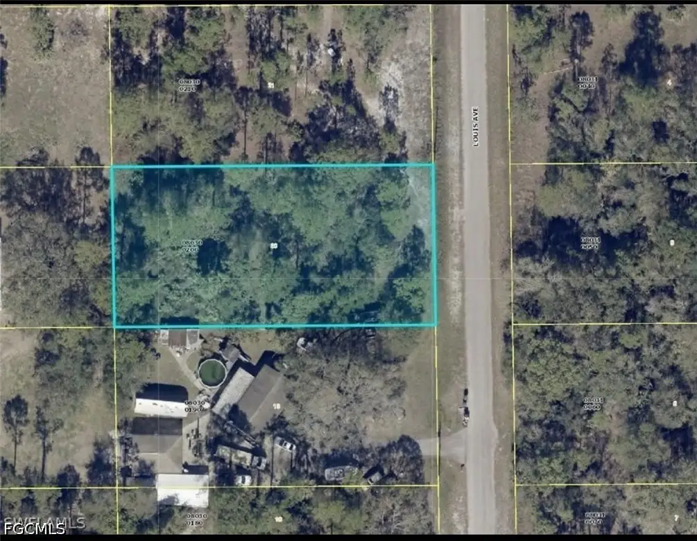 1015 Louis Avenue, Lehigh Acres, FL 33972 - #1
