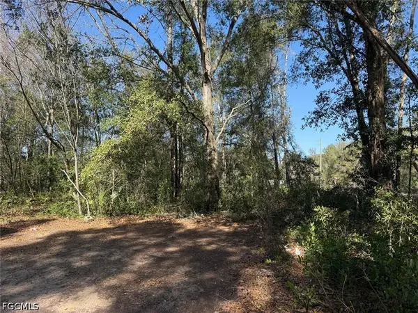 1245 Cellini Street E, Lehigh Acres, FL 33974