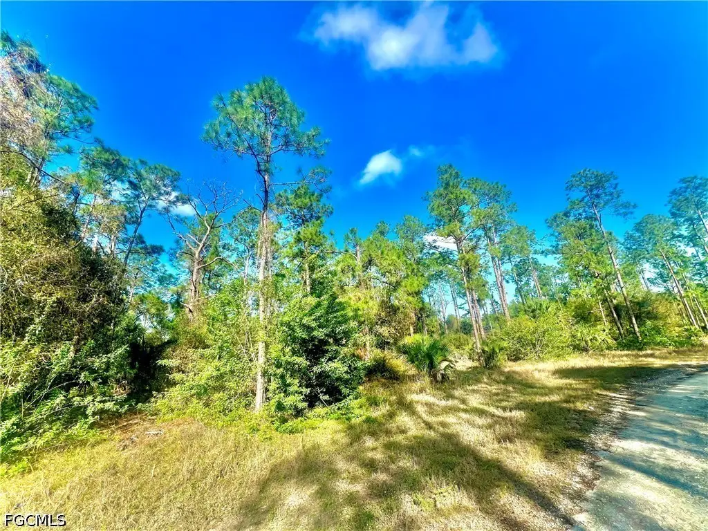 124 Nassau Avenue, Lehigh Acres, FL 33974 - #1