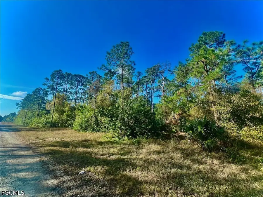 124 Nassau Avenue, Lehigh Acres, FL 33974 - #2