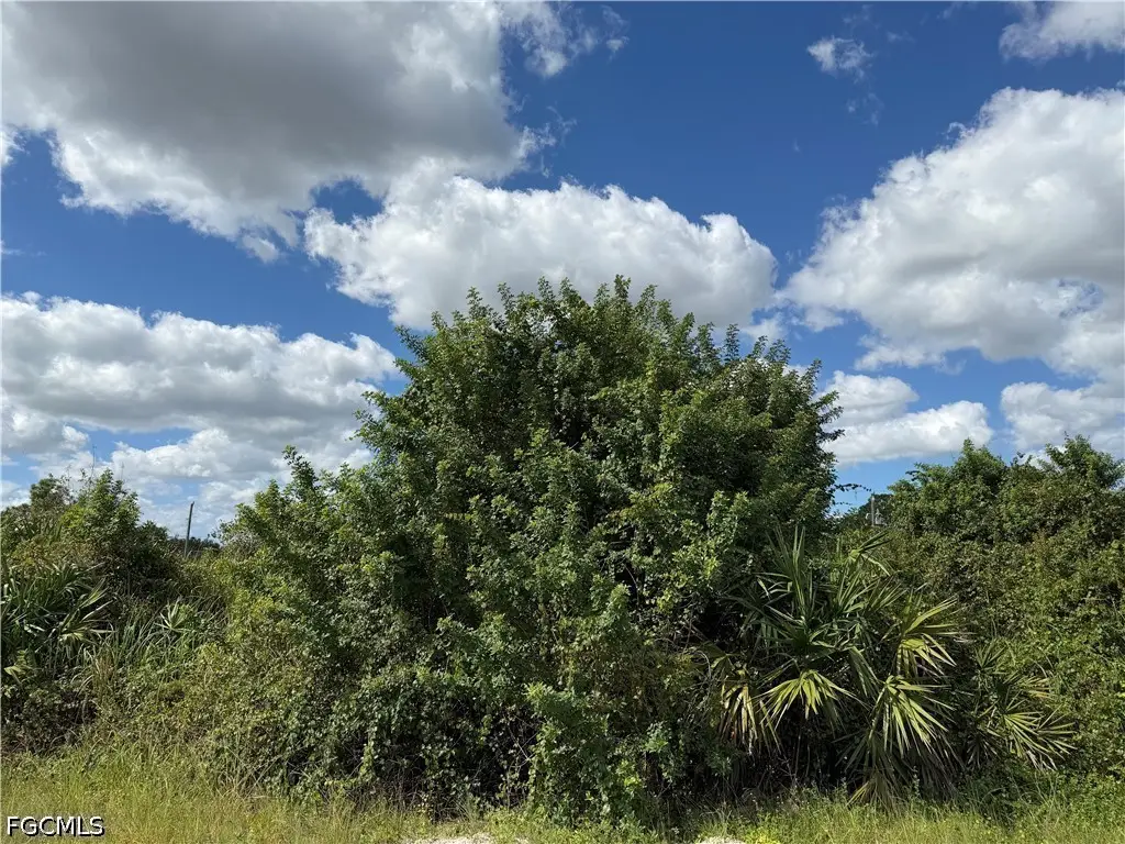 1209 Plumosa Avenue, Lehigh Acres, FL 33972 - #1