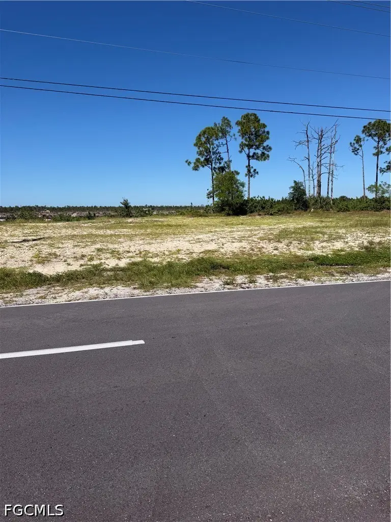 911 Wilmington Parkway, Cape Coral, FL 33993 - #2