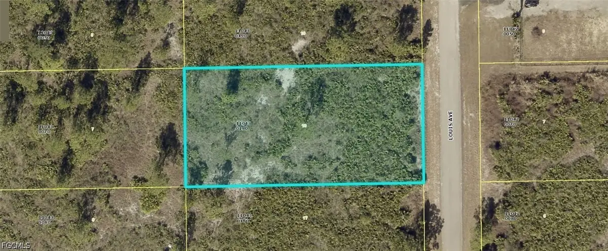 311 Louis Avenue, Lehigh Acres, FL 33936 - #1