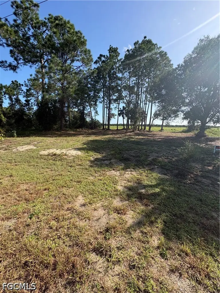 917 Naples Avenue S, Lehigh Acres, FL 33974 - #1