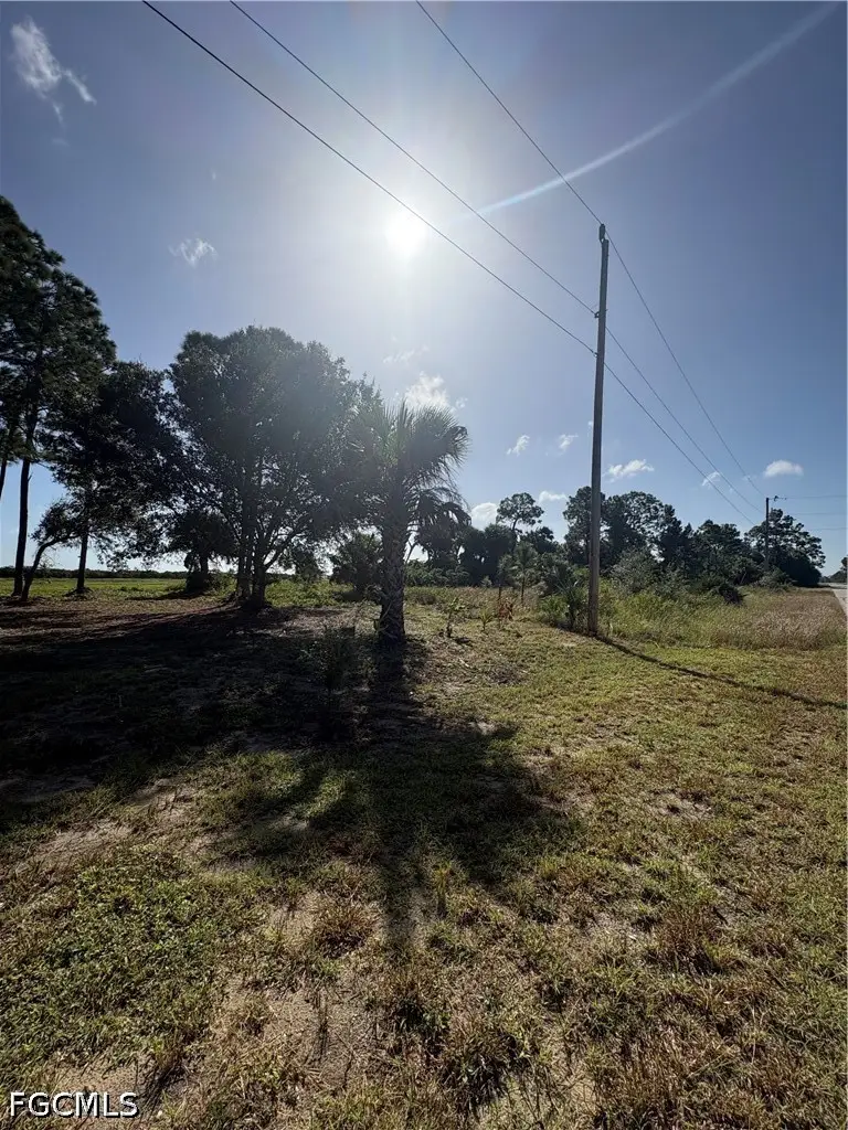 917 Naples Avenue S, Lehigh Acres, FL 33974 - #2