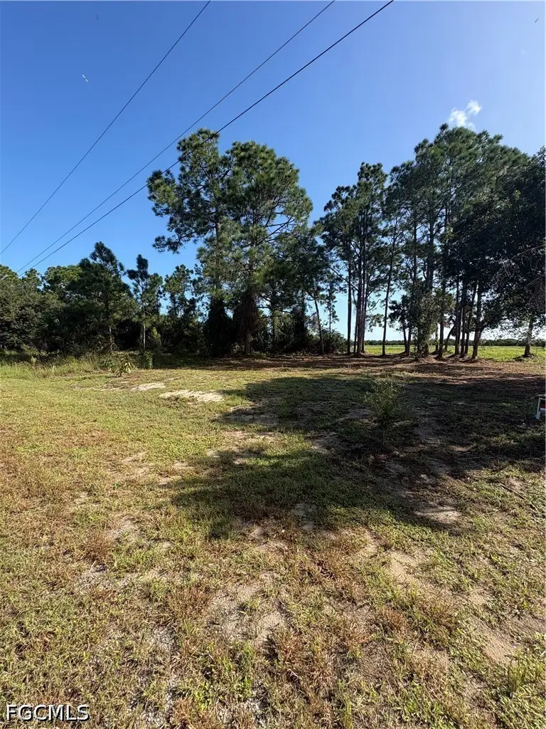 917 Naples Avenue S, Lehigh Acres, FL 33974 - #3