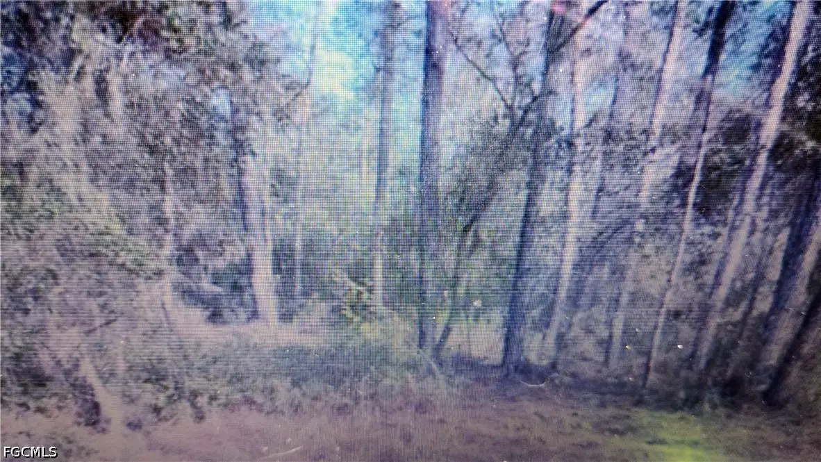 113 Carr Place, Satsuma, FL 32189 - #1
