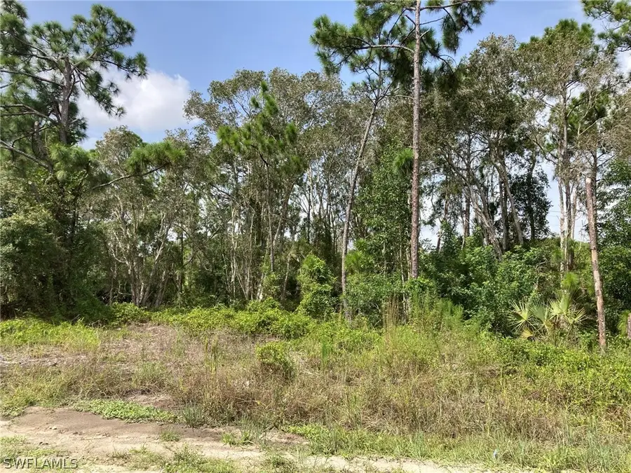 2406 Meadow Road, Lehigh Acres, FL 33974 - Image #2