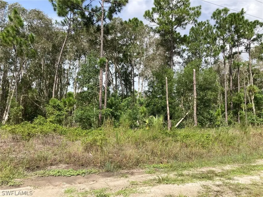 2406 Meadow Road, Lehigh Acres, FL 33974 - Image #3