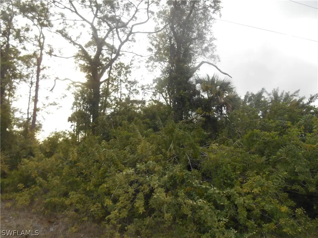 1515 Palmetto Avenue, Lehigh Acres, FL 33972 - Image #1