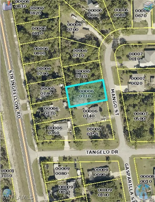 3894 Mango Street, Other, FL 33956