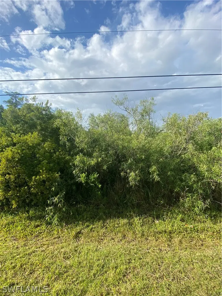 3894 Mango Street, Saint James City, FL 33956 - #2