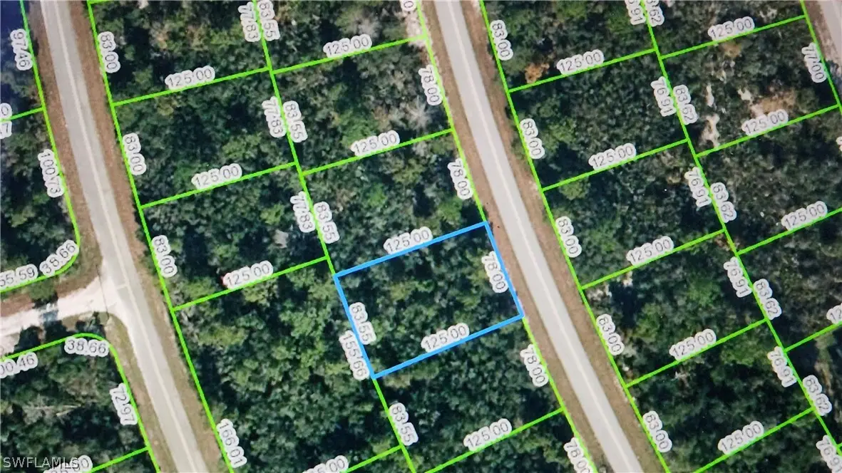 121 Fillmore Avenue Ne, Lake Placid, FL 33852 - Image #1