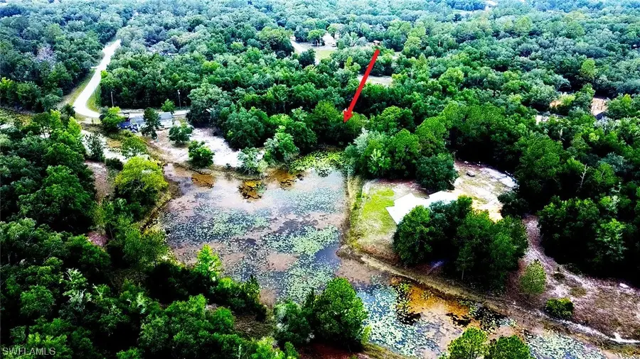 34132 August Avenue, Webster, FL 33597 - #2