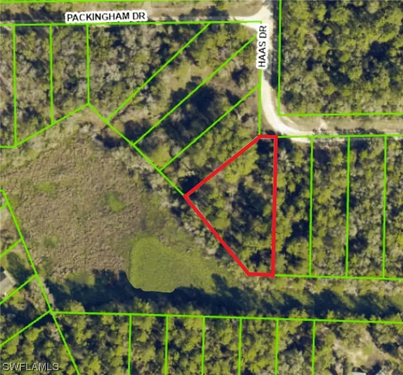 34160 Haas Drive, Webster, FL 33597 - Image #3