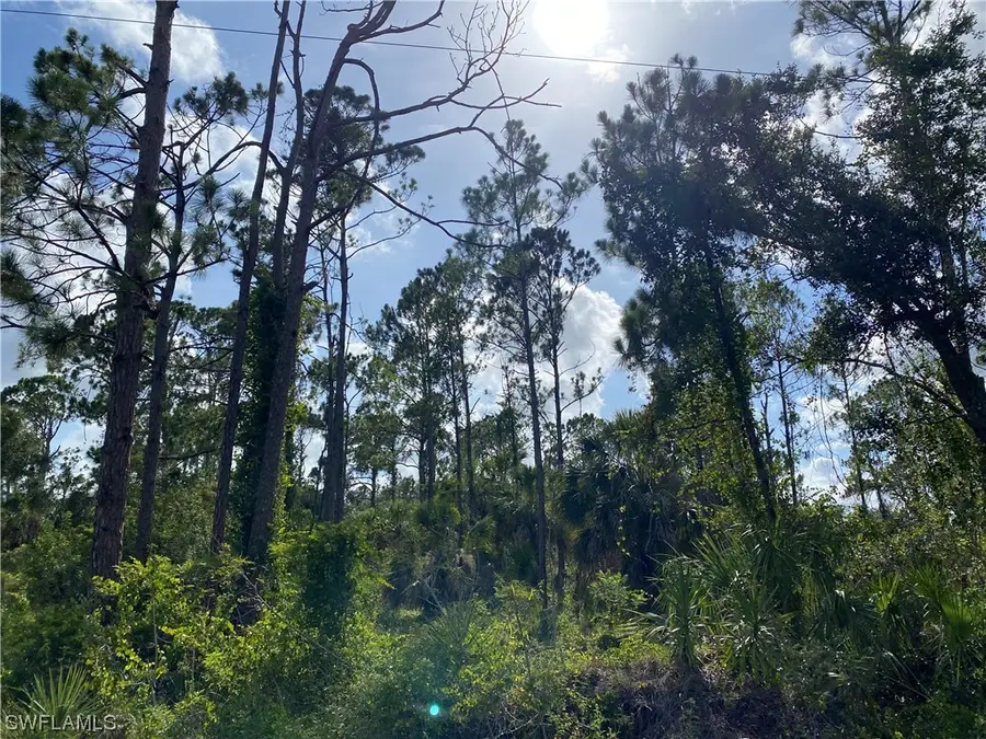 2063 Fernwood Street, Port Charlotte, FL 33948 - Image #2