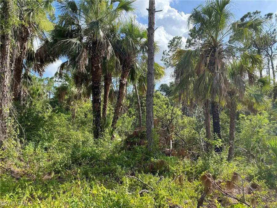 2063 Fernwood Street, Port Charlotte, FL 33948 - Image #3