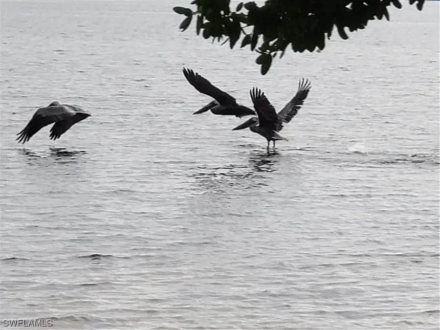 3853 Citrus Street, Saint James City, FL 33956 - Image #3