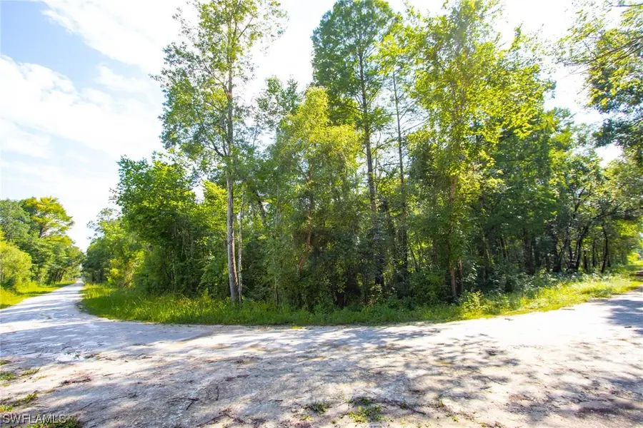 33464 Packingham Drive, Webster, FL 33597 - Image #2