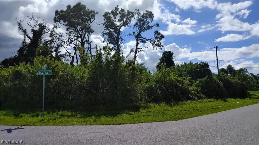 12381 Bacchus Road, Port Charlotte, FL 33981 - #3