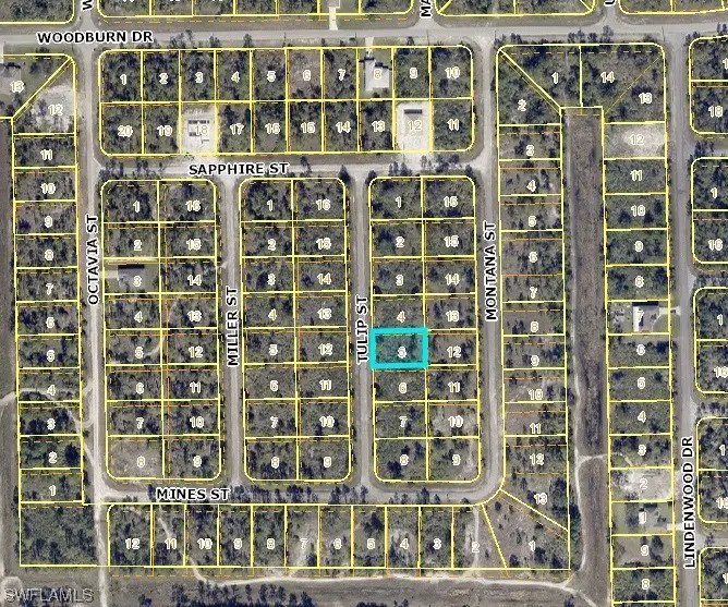 1850 Tulip Street, Lehigh Acres, FL 33972 - #1