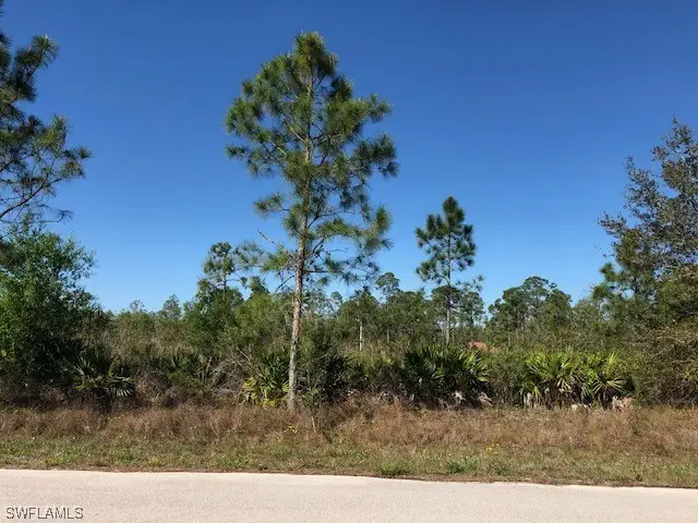 212 Leroy Avenue, Lehigh Acres, FL 33936 - #2