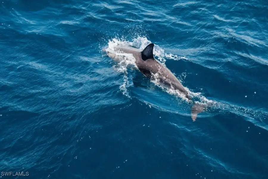 4765 Estero Boulevard, Fort Myers Beach, FL 33931 - #3