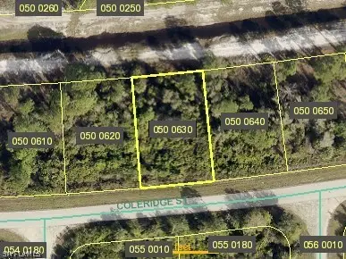 1031 Coleridge Street, Lehigh Acres, FL 33974 - #1