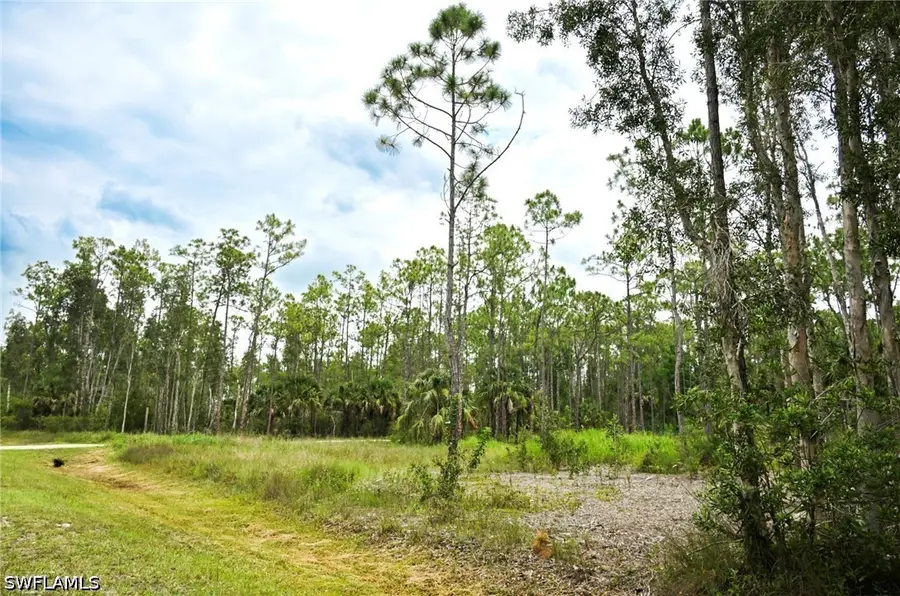 24443 Rocky Road, Bonita Springs, FL 34135 - #3