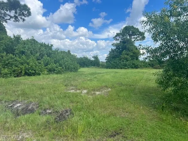 1317 NW 3rd Place, Cape Coral, FL 33993 - #2