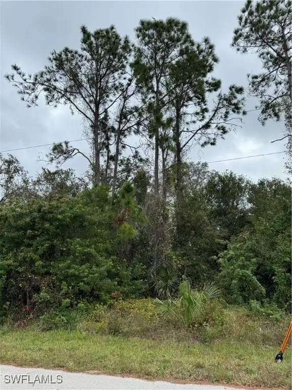 904 Sheldon Avenue, Lehigh Acres, FL 33936 - Image #3