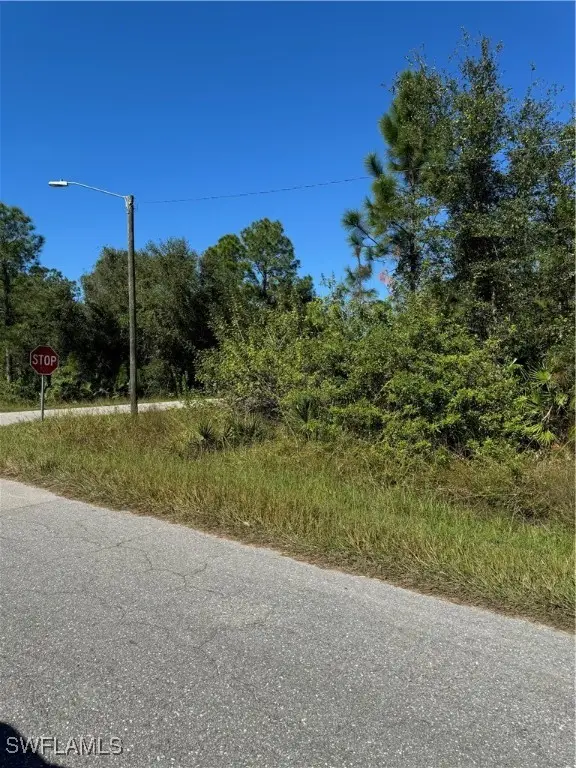 2501 E 9th Street, Lehigh Acres, FL 33936 - #3