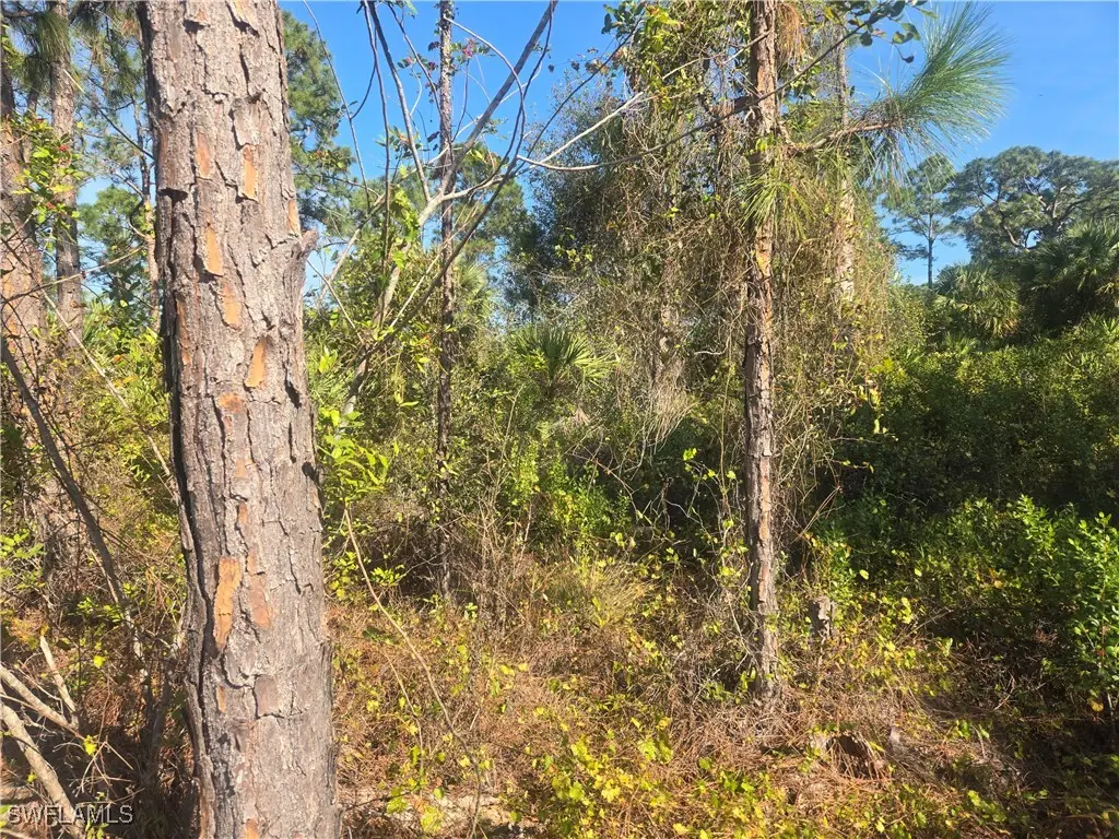 711 Giorgio Avenue S, Lehigh Acres, FL 33974 - Image #1