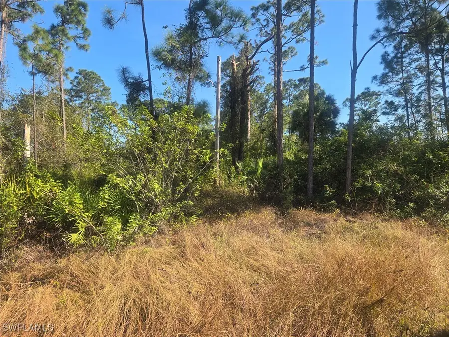 711 Giorgio Avenue S, Lehigh Acres, FL 33974 - Image #2