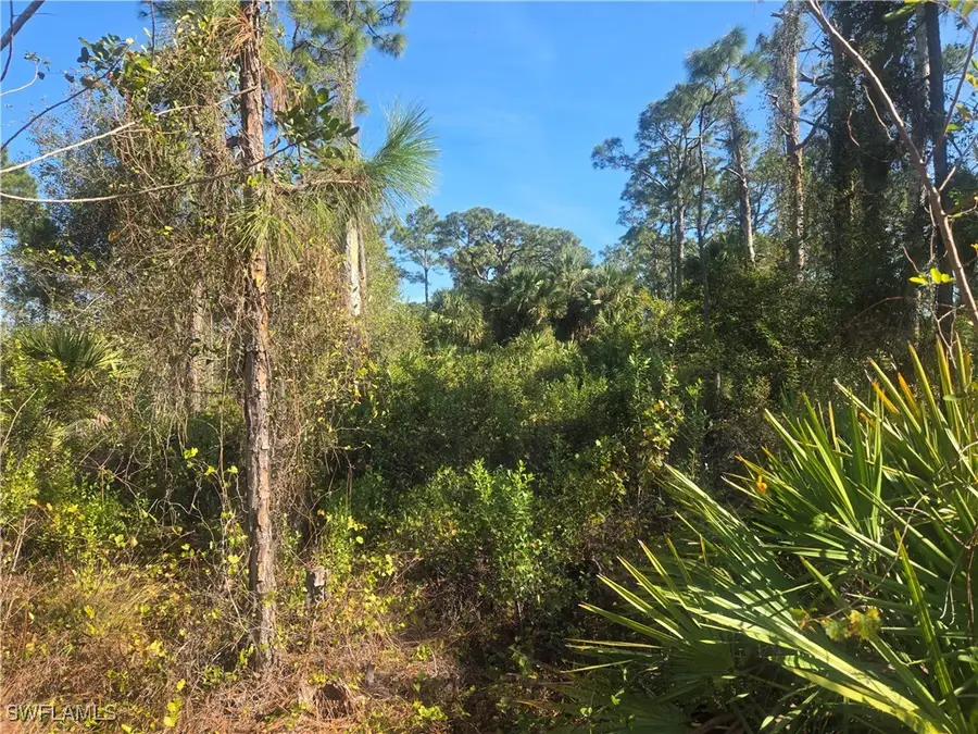 711 Giorgio Avenue S, Lehigh Acres, FL 33974 - Image #3