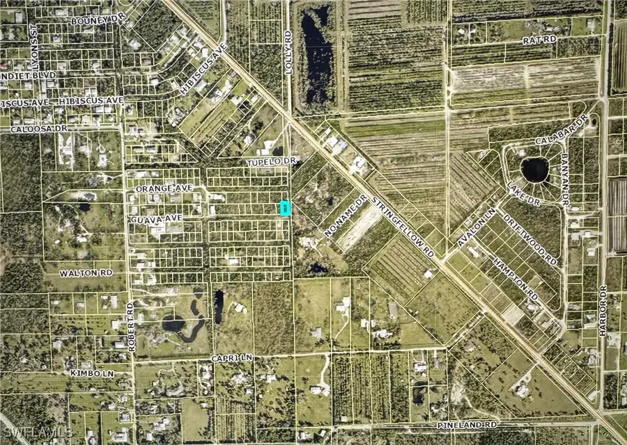 7000 Guava Avenue, Bokeelia, FL 33922 - #3