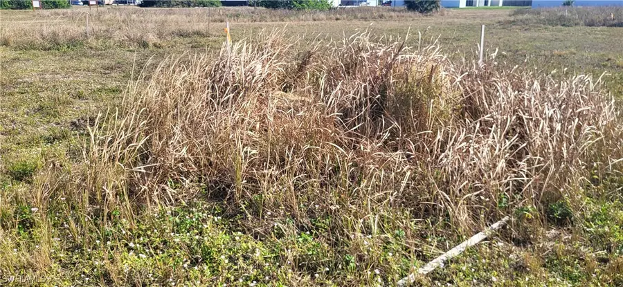 469 NE Juanita Place, Cape Coral, FL 33909 - Image #3