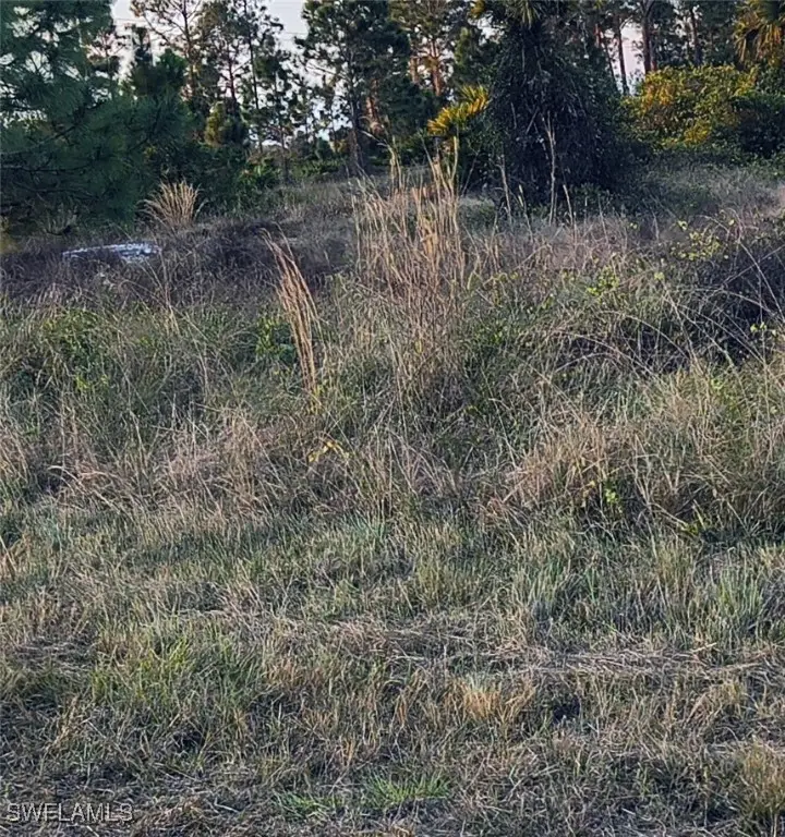 1071 Harwood Avenue S, Lehigh Acres, FL 33974 - Image #3