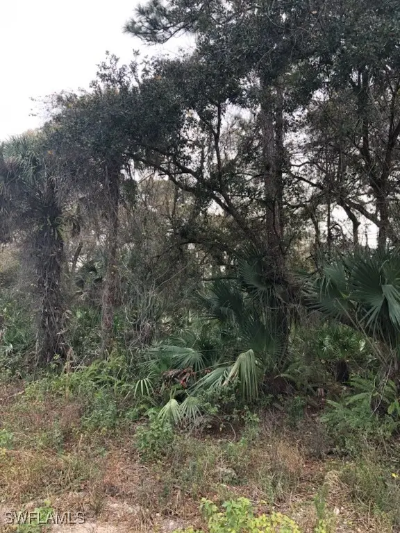 1201 Austin Street, Labelle, FL 33935 - Image #2